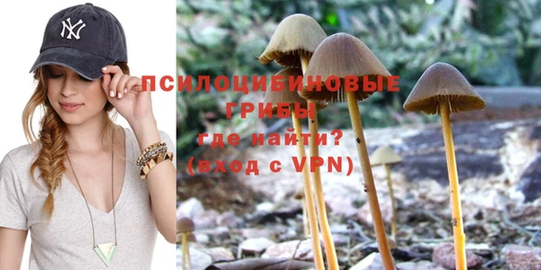 jwh Аркадак