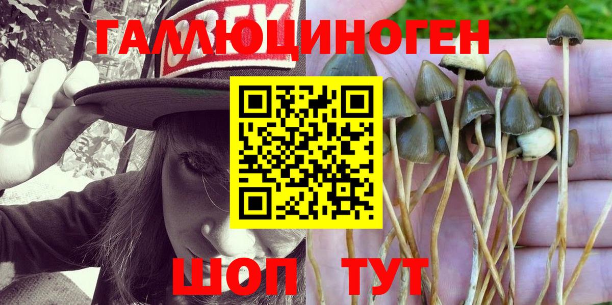 Псилоцибиновые грибы мухоморы  Вход с VPN  Нижний Новгород 